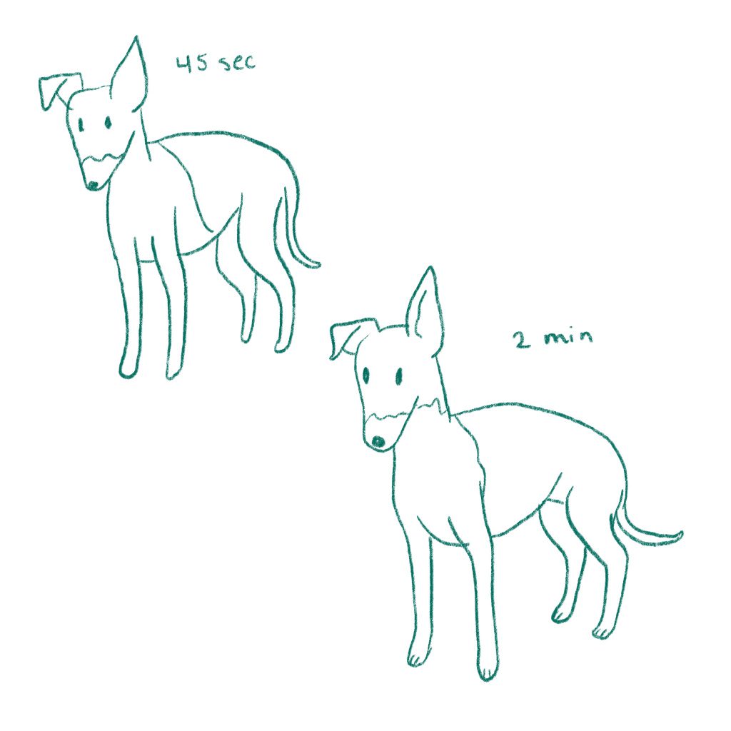 Quick sketches of italian greyhounds