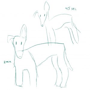 Quick sketches of italian greyhounds