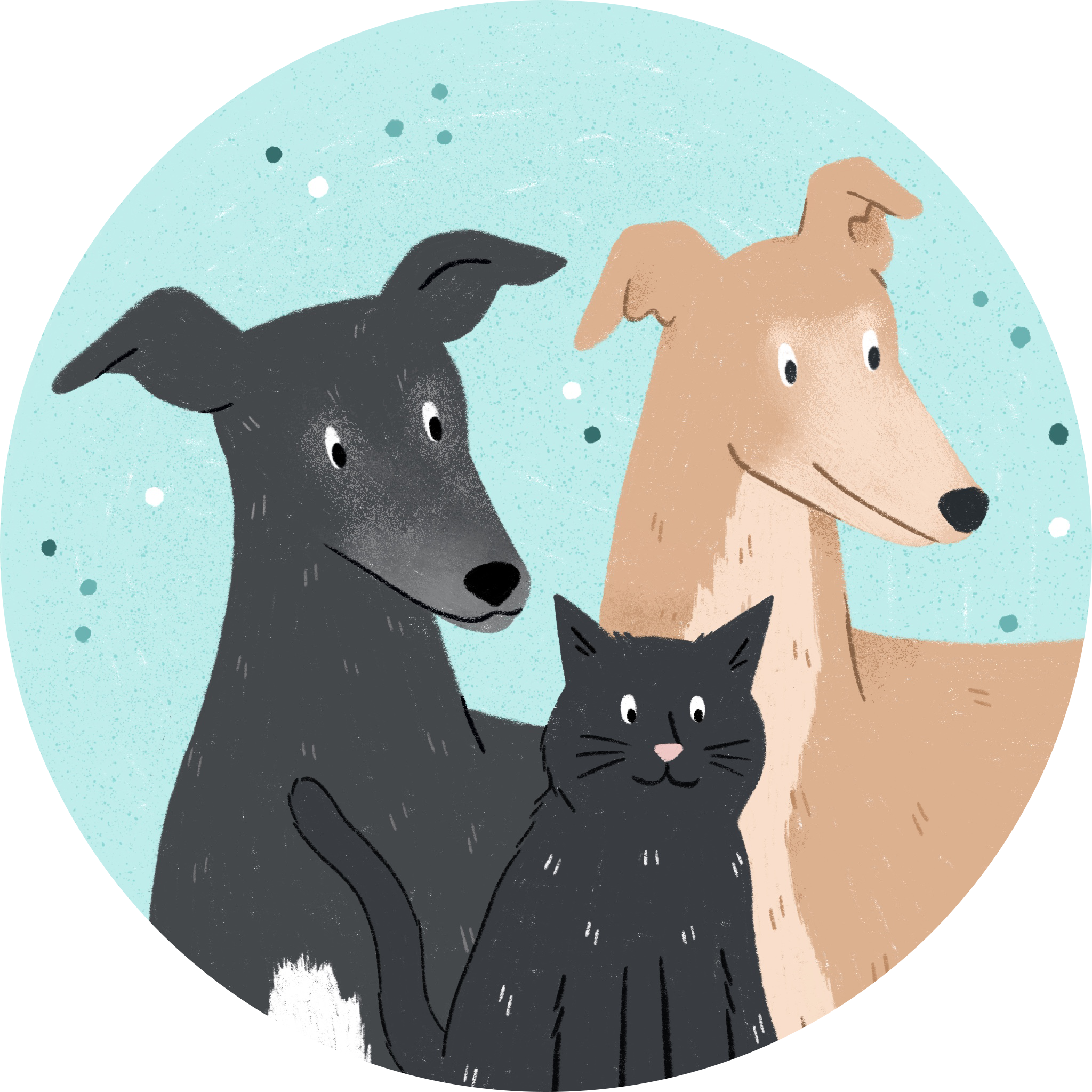 A pet portrait of two greyhounds and a black cat
