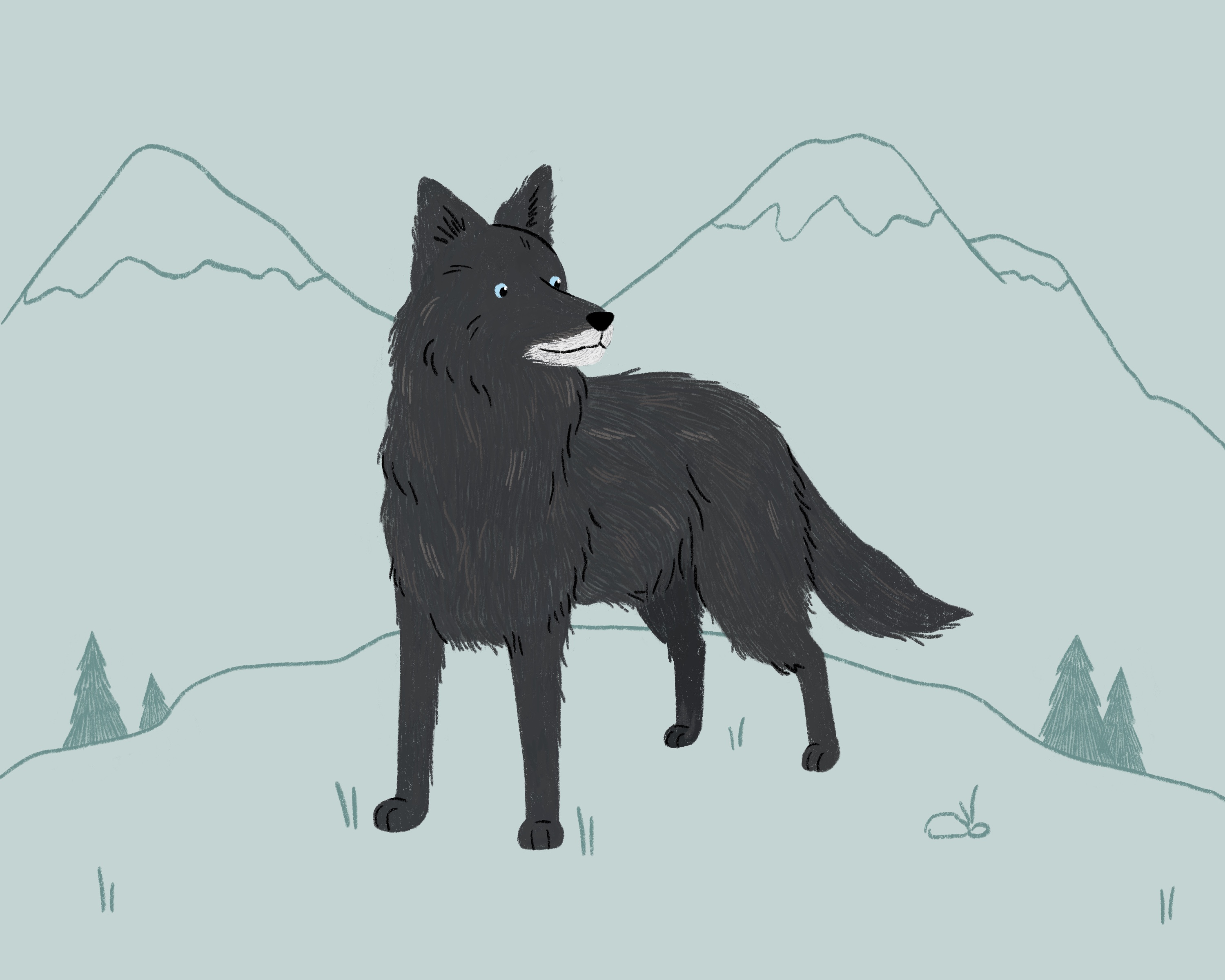 A black border collie surrounded by mountains