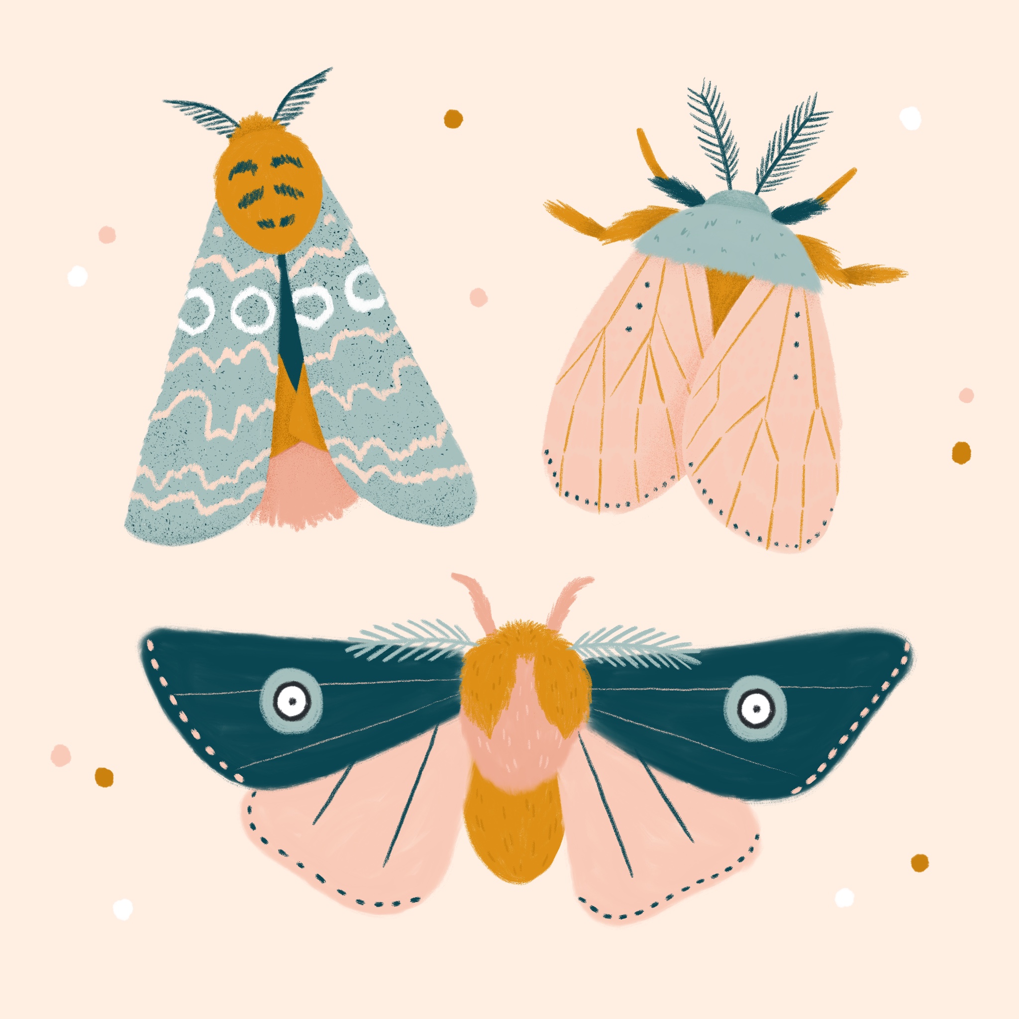 An illustration of three moths with different wing patterns
