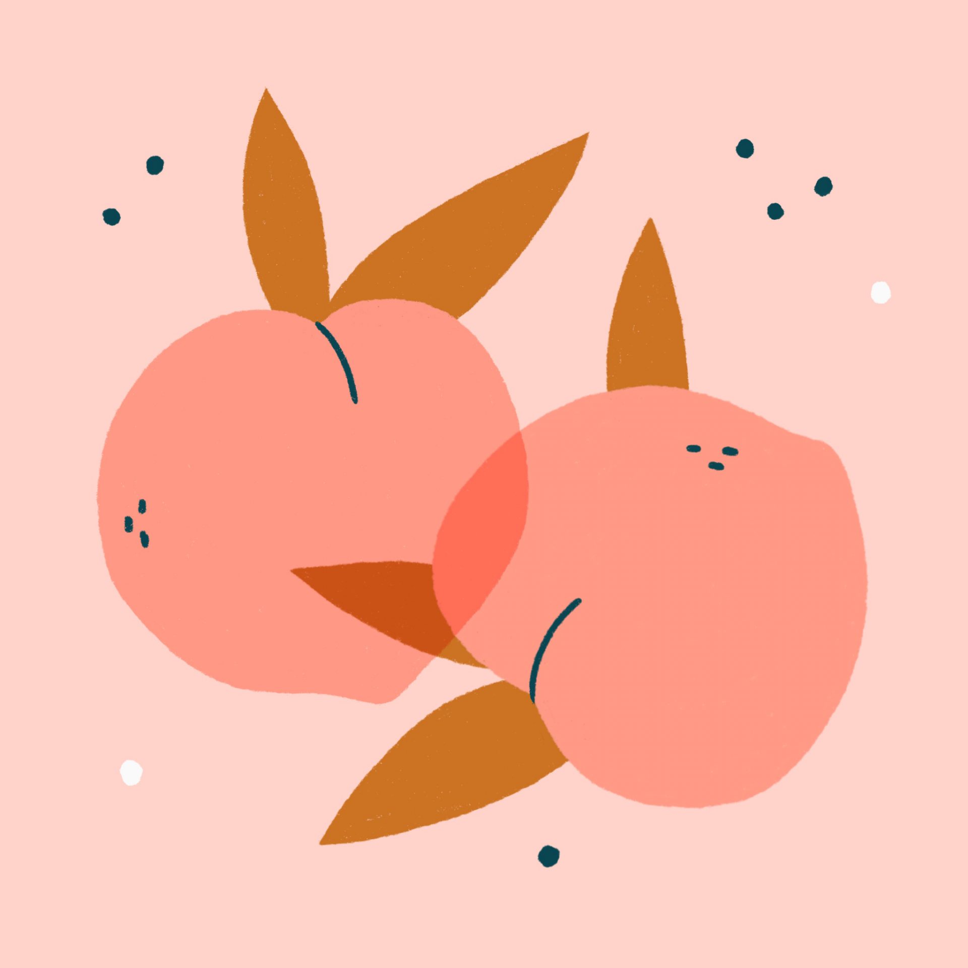 An illustration of two peaches