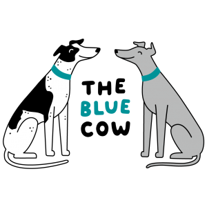 A logo featuring two illustrated greyhounds and the words "The Blue Cow" in between them. The dog on the left is black and white and the one on the right is grey. They both are wearing blue collars.