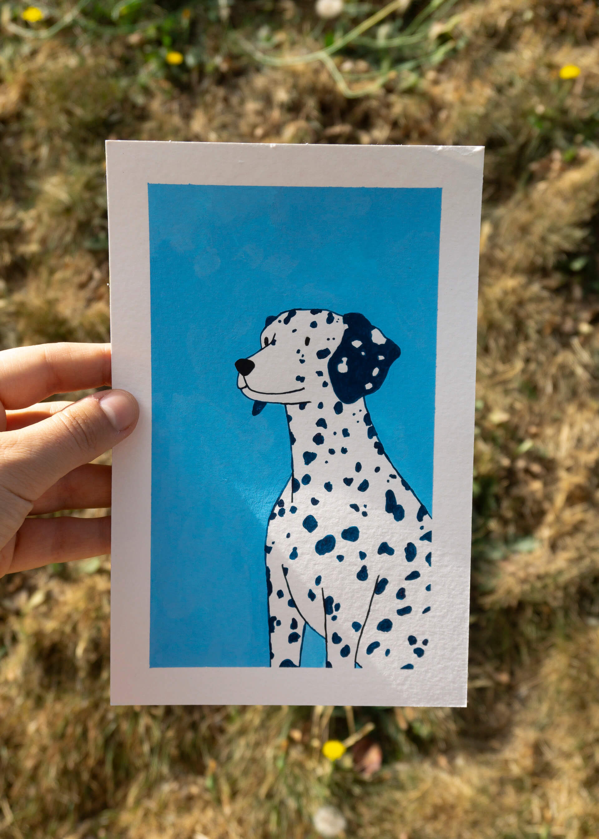 Dalmatian