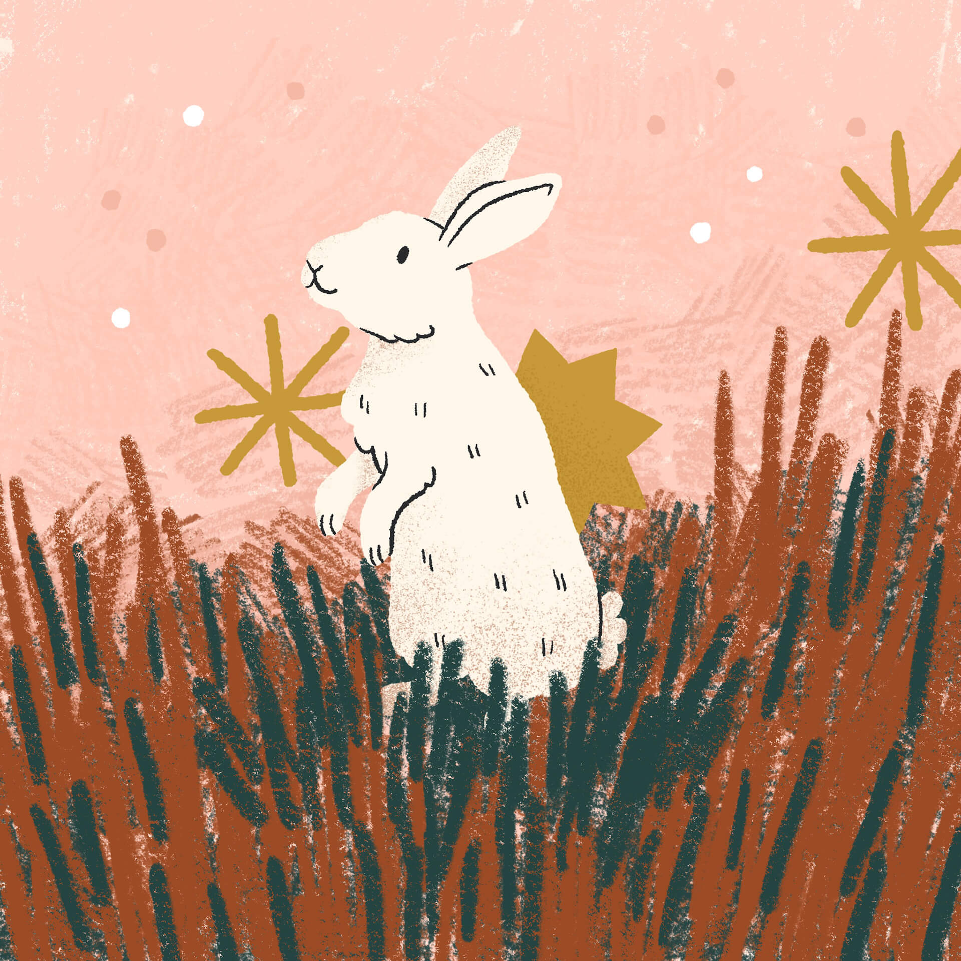 Rabbit in Grass