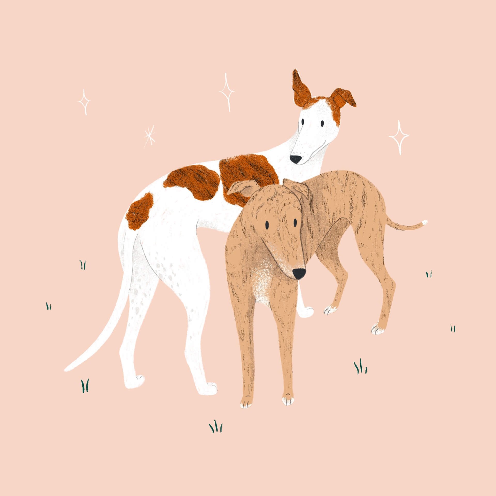 Two Greyhounds