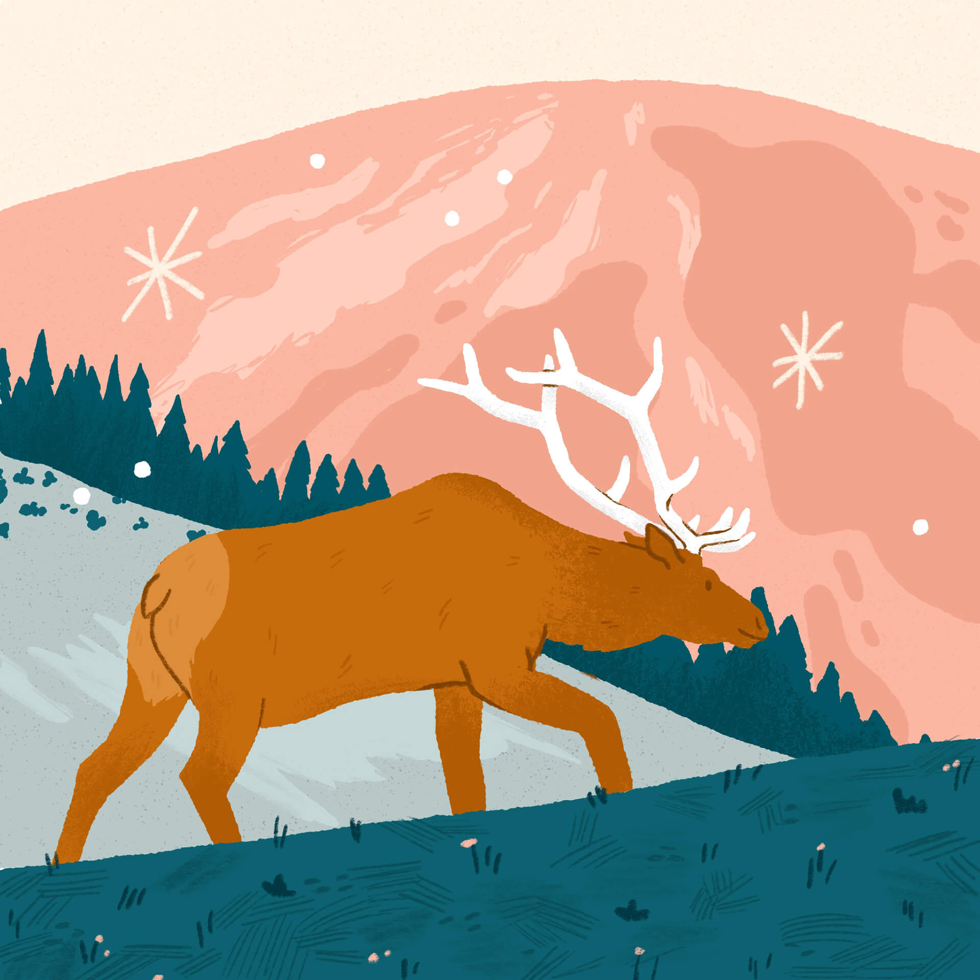 Wandering Elk
