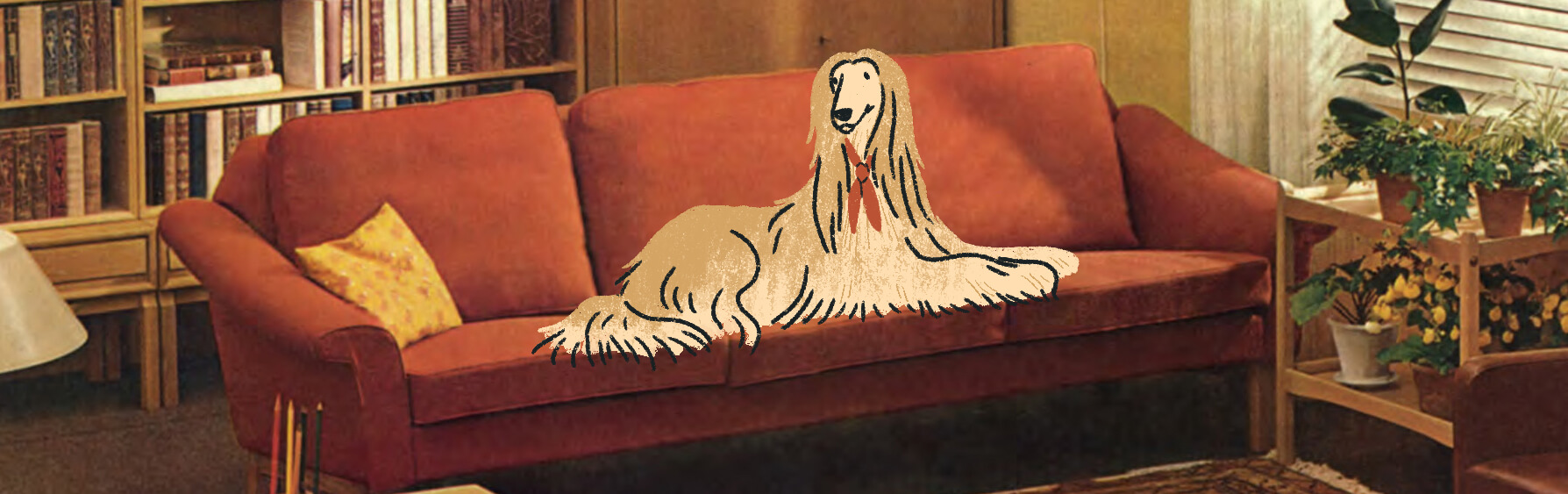 close crop of illustrated afghan hound on photo of living room red couch